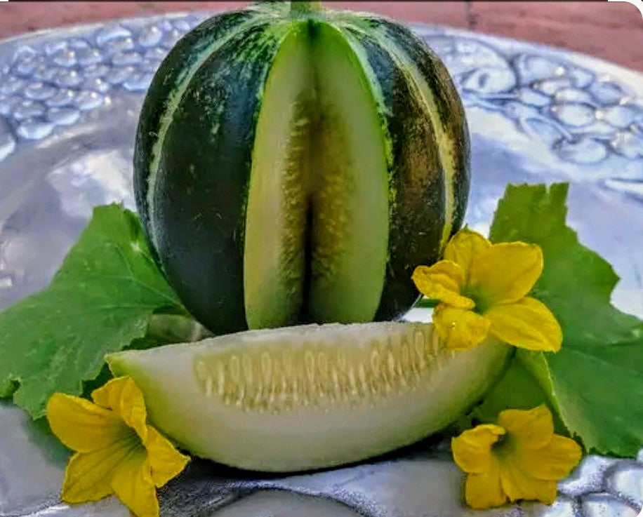 Cucumber Melon Scented Sugar Scrub